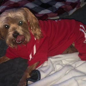 Meet your Posher, Bonnie